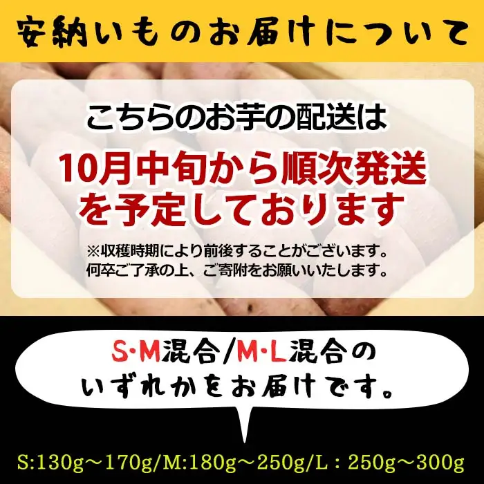 安納芋 さつまいも 10kg【永濱農園】n084