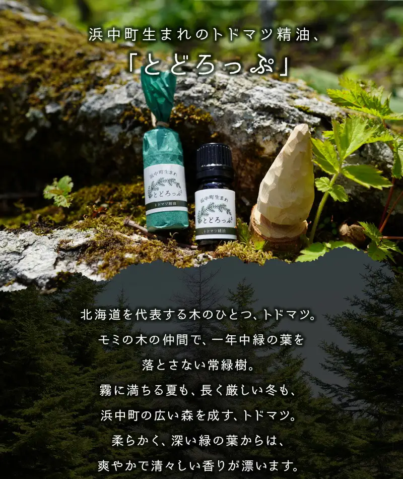 浜中町生まれトドマツ精油『とどろっぷ』5ml　1本　精油 エッセンシャルオイル 浜中町生まれ 100％天然 トドマツ 5ml 1本 とどろっぷ 国産 樹木系 アロマ アロマオイル お風呂 スプレー 北海道 浜中町 お取り寄せ 雑貨 日用品 リラックス グッズ 送料無料_H0025-103