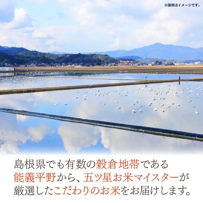 五ツ星お米マイスター厳選 能義平野のきぬむすめ 7kg 【令和7年産 白米 精米 ご飯 美味しい 安心 安全 沼田米穀店 島根県 安来市】【価格変更X】【15-NB-03】
