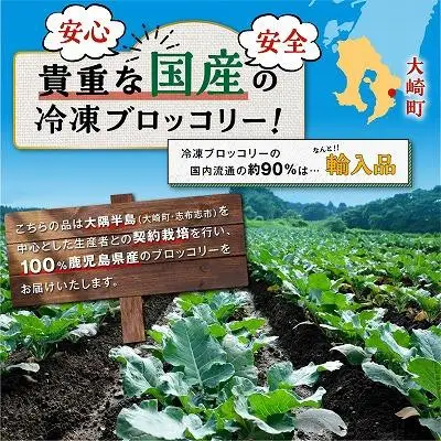 鹿児島県産　冷凍ブロッコリー　（200g×6パック）