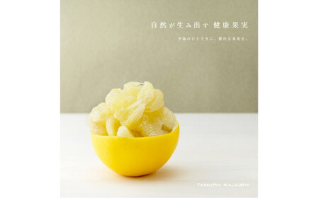 【先行予約】秀品 ☆高知産?土佐文旦☆?2L?8玉入【贈答用】〈2027年1月下旬頃より順次発送〉/ 柑橘 フルーツ 先行予約 ぶんたん ブンタン 果物 お取り寄せ【TAMURAKAJUEN】