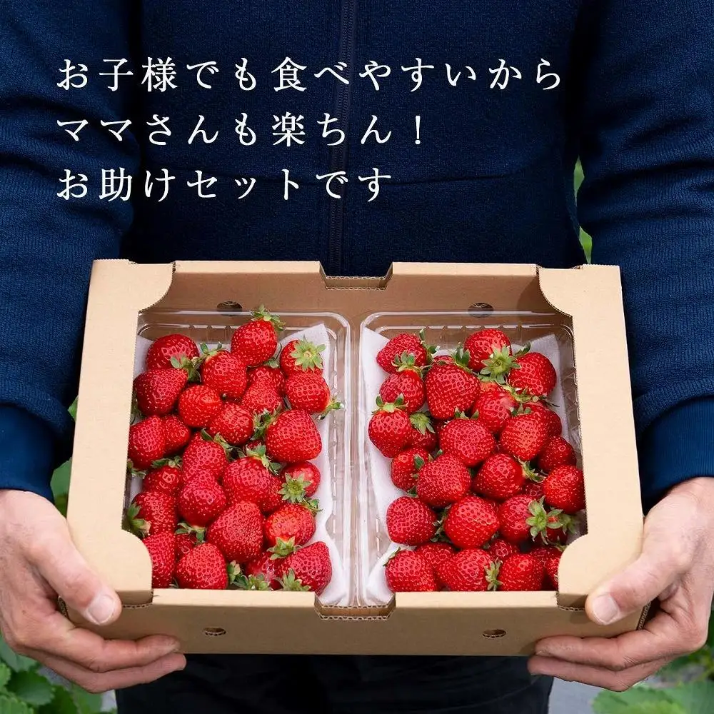 【2027年1月～4月出荷分予約販売】★たっぷり1000g！★ミニサイズの「完熟あまおう」セット