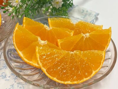 【2026年先行予約】みかん 愛媛 愛果28号 5kg ご家庭用 2L〜4L 大玉 紅まどんなと同一品種 人気 数量限定 先行予約 柑橘 伊予市 【2026年11月下旬から順次発送予定】｜B83