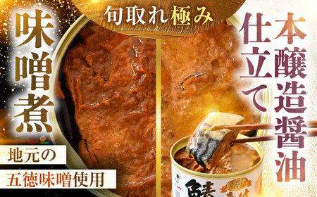 鯖缶詰12缶詰め合わせC / さば缶 缶詰 サバ 魚 小浜市 / 福井缶詰  [BFAB036]