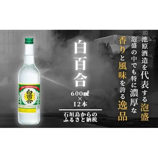IK-9 池原酒造 白百合 600ml 30度 12本セット 