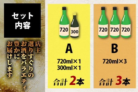 【訳あり】熟成貯蔵酒 日本酒バラエティセット｜純米大吟醸・純米吟醸など数種類からお届け 清酒 飲み比べセット 佐賀県鹿島市 B-584