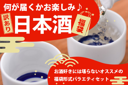 【訳あり】熟成貯蔵酒 日本酒バラエティセット｜純米大吟醸・純米吟醸など数種類からお届け 清酒 飲み比べセット 佐賀県鹿島市 D-181