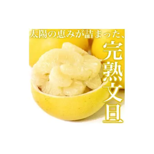 【早期予約】 国産 訳あり 文旦 10kg 旬 季節 新鮮 ぶんたん みかん オレンジ 柑橘 果物 フルーツ 果肉 果汁 産地 直送 デザート スイーツ ゼリー ジュース アイス ケーキ おすすめ 送料無料 贈答 ギフト お歳暮 年末 年始 お正月 高知県 須崎市 AWA010_x