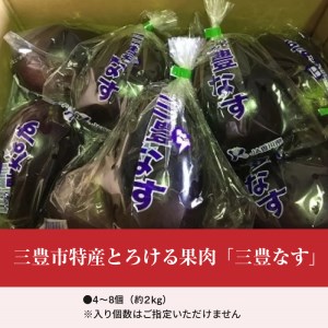 三豊市特産とろける果肉「三豊なす」約2㎏