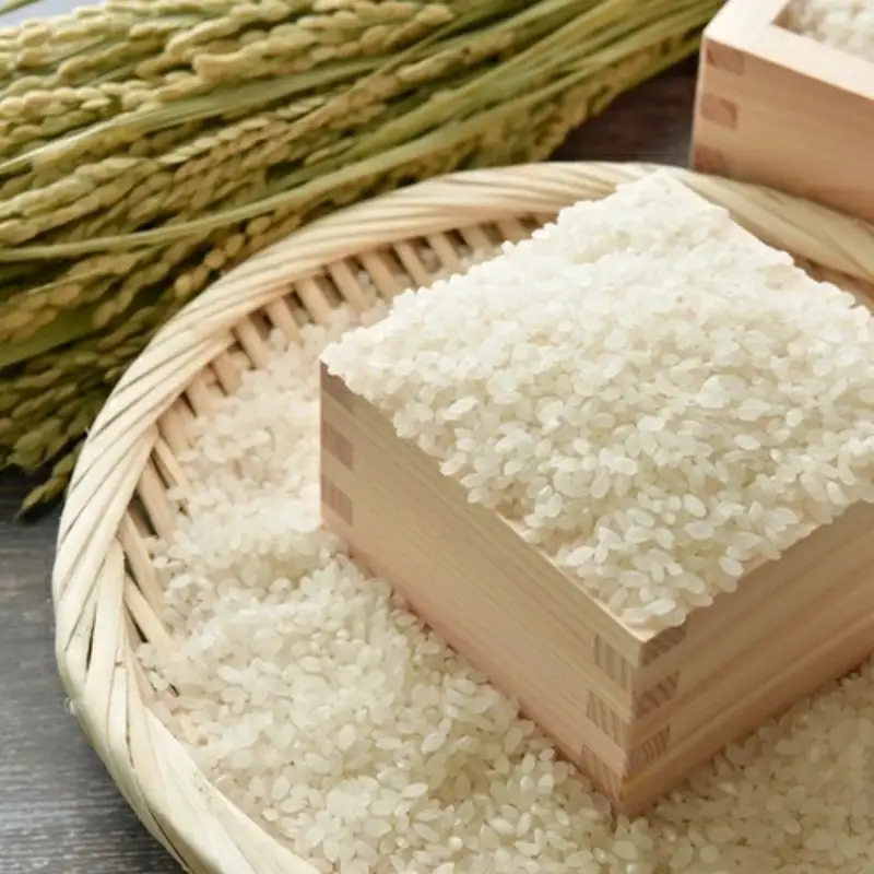 白米 特別栽培米・伊賀米結びの神 5kg【tuli0002A】
