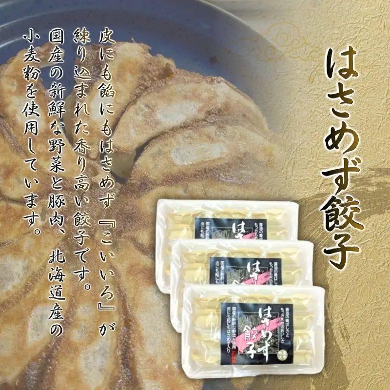 ギョーザ ぎょうざ はさめず餃子セット【hkst0001】