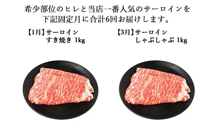 伊賀牛 【年6回】A5ヒレ・サーロイン 定期便A 総合計約6.1kg【dido-tkb0006】