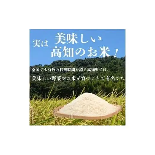 【令和8年産 新米】 コシヒカリ5kg