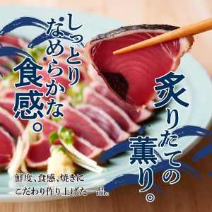 一本釣り炭火焼かつおたたき (a10-863)