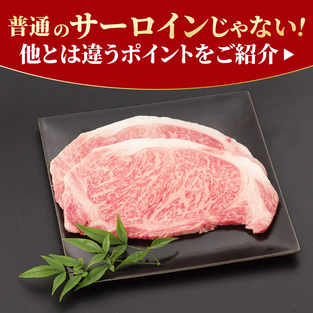 黒毛和牛 佐賀牛  サーロインステーキ 2人前 200g×2 400g  ステーキ すてーき[FCY004]
