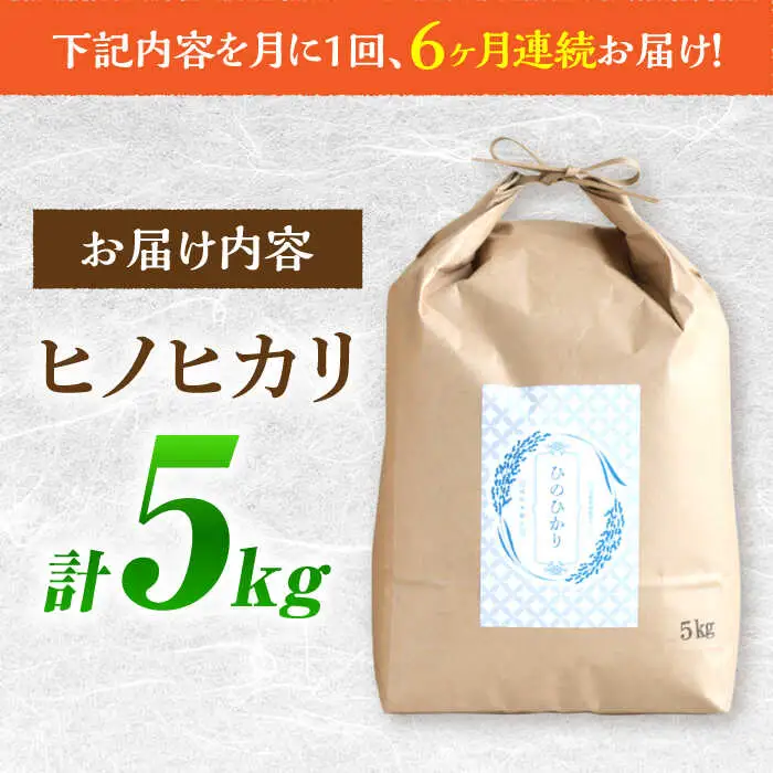 ヒノヒカリ 5kg×6回 定期便 / ひのひかり 米 お米 こめ コメ 精米 / 南島原市 / 林田米穀店 [SCO009]