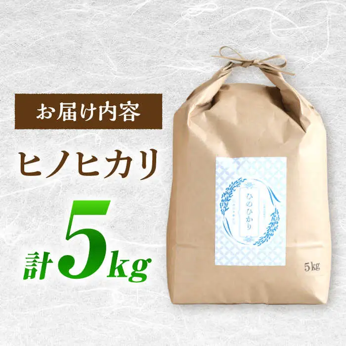 ヒノヒカリ 5kg / ひのひかり 米 お米 こめ コメ 精米 / 南島原市 / 林田米穀店 [SCO011]