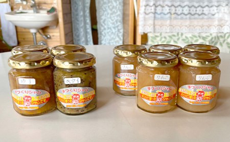 季節の果物を使った手作りジャム 詰め合わせ（140g×9本）フルーツジャム セット 果物 フルーツ 群馬県 渋川市 F4H-0174