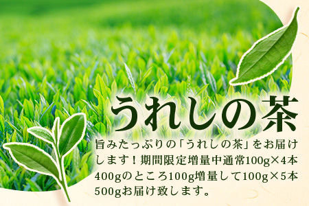 期間限定増量【ギフトにおすすめ】佐賀県産 うれしの茶 (やぶきた茶) 100g×5本【合計500g】美味しいお茶を贈り物に B-570