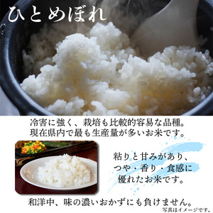 新米 先行予約 【令和8年産】 ひとめぼれ 精米 10kg （5kg×2袋）《2026年11月中旬より順次発送開始予定》 ／ 白米 岩手県産 中沢農産