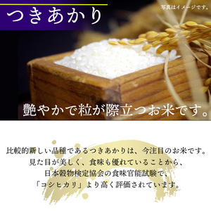 新米 先行予約 【令和8年産】 つきあかり 精米 10kg （5kg×2袋）《2026年11月中旬より順次発送開始予定》 ／ 白米 岩手県産 中沢農産