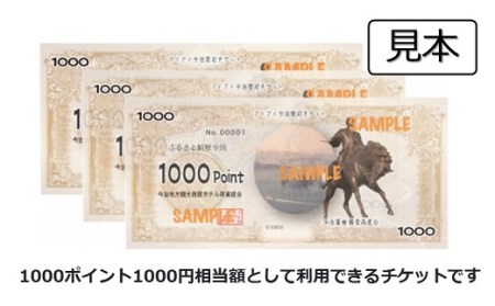 アイアイ今治宿泊チケット　1000ポイント分×30枚（30000円相当額） [TF09170]