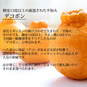 【2027年先行予約】和歌山県産 AQ デコポン 5kg 秀品 (12～24玉)_DN6012n