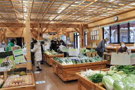 【6回定期便】コシヒカリ 5kg 旭のお米 定期便 精米 白米