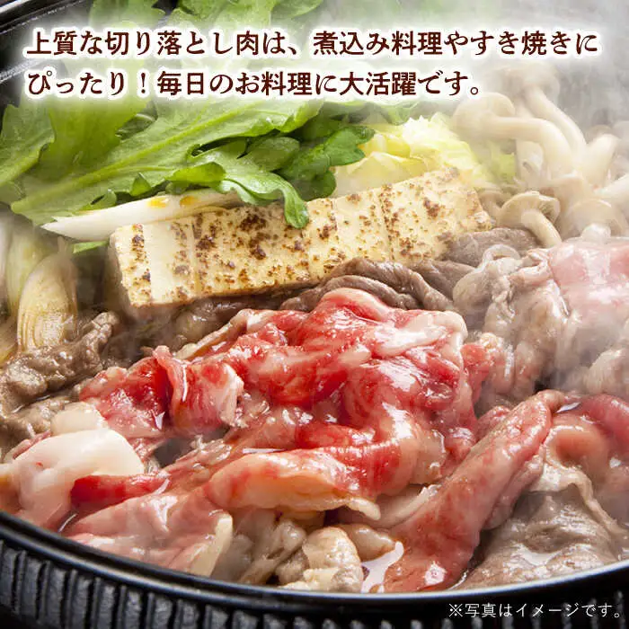 【訳あり】 切り落とし 600g 長崎和牛 黒毛和牛  【夢ファームシュシュ】 [WF07] 肉 牛肉 しゃぶしゃぶ すき焼き 訳アリ ワケあり