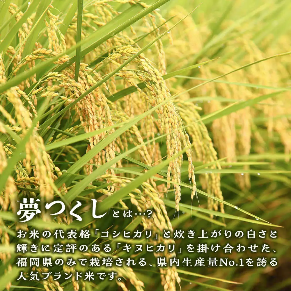【お中元対象】  糸島産 夢つくし 5kg 糸島市 / 三島商店 [AIM001] 米 白米