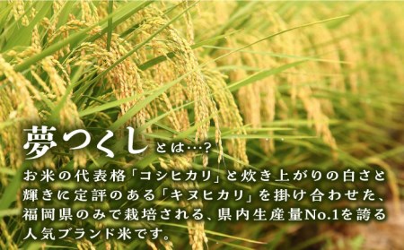 【全12回定期便】糸島産 夢つくし 5kg × 12回 糸島市 / 三島商店 [AIM007] 米 白米