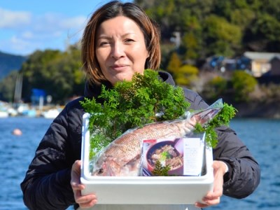 （冷蔵） 人が食すために育てられた 真鯛・鯛めしの素 セット ／ 友栄水産 鯛 真鯛 鯛めし 伊勢志摩 三重県 南伊勢町