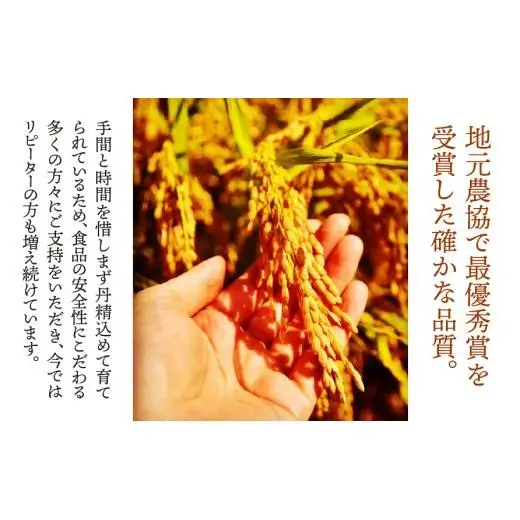 【数量限定】《令和7年産》岐阜県産 コシヒカリ（精米） 5kg | 垂井町産 米 白米 冷めても美味しい米 ブランド米 高品質 安心 安全 リピーター多数 贈答用 贈り物 ギフト プレゼント おしゃれ 人気 T rice Store
