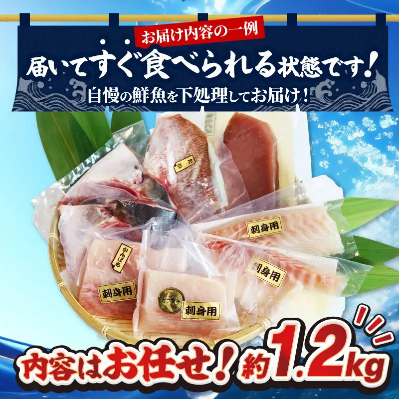 【海鮮】訳あり 海鮮 おまかせ セット 約1.2㎏