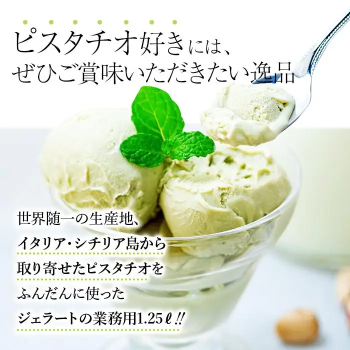 【訳あり】イタリア ピスタチオ ジェラート 1.25リットル