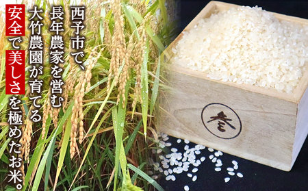 ＜令和8年産 大竹農園 コシヒカリ 約5kg＞ こしひかり コメ 白米 精米 ご飯 新鮮 旨味 大粒 ふっくら もちもち モチモチ お弁当 朝ごはん お昼ごはん 夜ごはん 特産品 愛媛県 西予市 【常温】『1か月以内に順次出荷予定』 UON0003