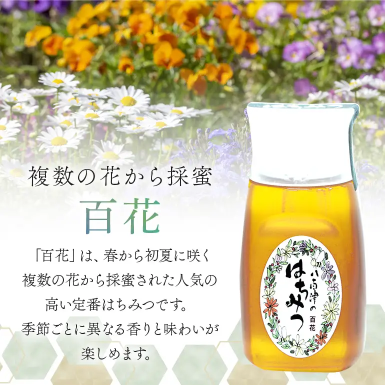 はちみつ 百花 プラボトル 300g 1本 (376)