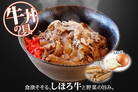 北海道 しほろ牛 牛丼の具 160g×4パック セット 牛丼 牛肉 国産牛 玉ねぎ ゴボウ 丼 冷凍 時短 簡単 便利 おかず 温めるだけ 道の駅 ピア21しほろ 送料無料 十勝 士幌町 【L45】