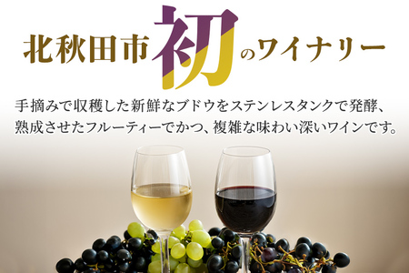 あきた野ワイナリー 日本ワイン 赤白2本セット (各750ml) 国産 秋田 贈答用 赤ワイン 白ワイン ギフト お祝い 家庭用