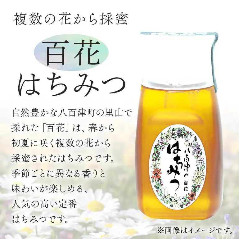 はちみつ 百花 ハニーナッツ セット 詰め合わせ 天然 非加熱 純粋 生 はちみつ 蜂蜜