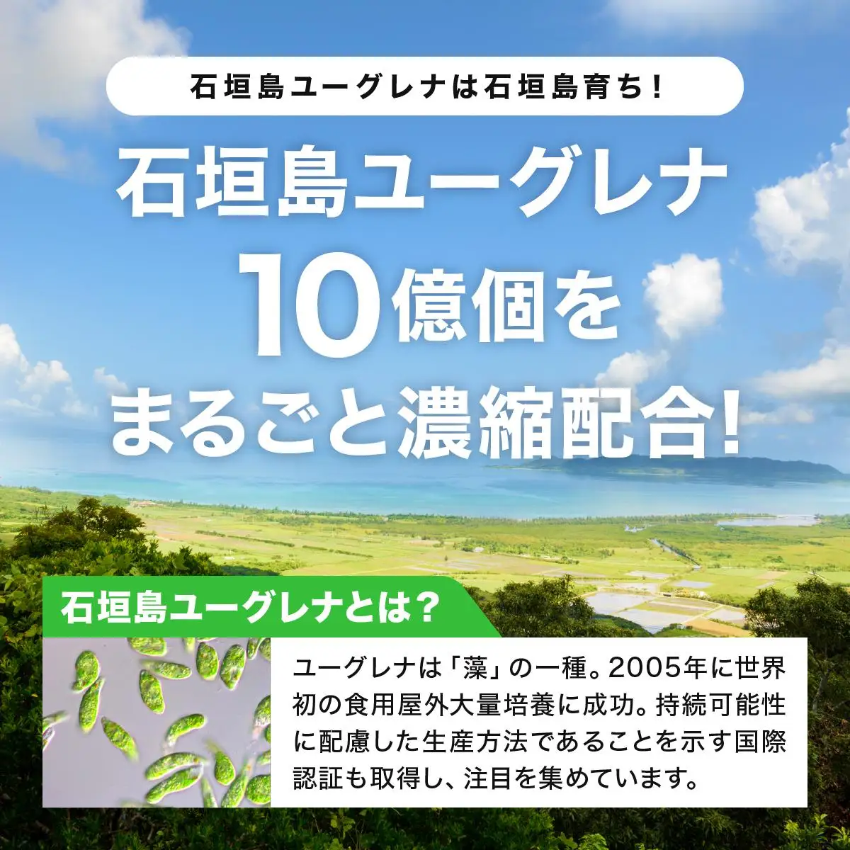 からだにユーグレナ フルーツグリーンオレ YG-4-1