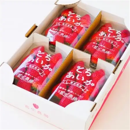 『葛生農場』新鮮!!栃木の新品種　『とちあいか』(260g×4パック)_いちご 苺 フルーツ 果物 くだもの とちあいか 栃木 新品種 人気 おすすめ 送料無料 ギフト 贈答 4パック_【配送不可地域：離島】【1385999】