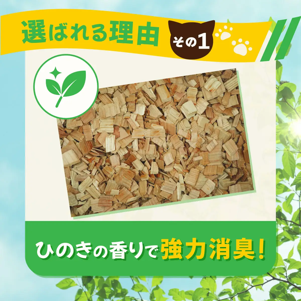 【６か月定期便】【木製 小粒】猫用 トイレ砂 6L ひのきの香り 固まる 燃やせる 天然素材　猫 猫砂
