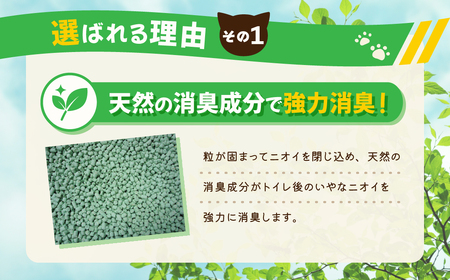 【６か月定期便】【おから】  猫用 トイレ砂 6L 天然素材 固まる 燃やせる 流せる　猫 猫砂