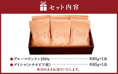 豪華珈琲豆 2種セット ブルーマウンテン100％ ゲイシャ 計2袋 コーヒー