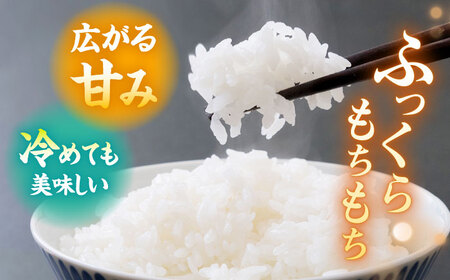【全3回定期便】新米 令和8年度米 先行予約 鬼木 棚田米 5kg 鬼木の棚田 新米 [GA18] 白米 小分け 精米