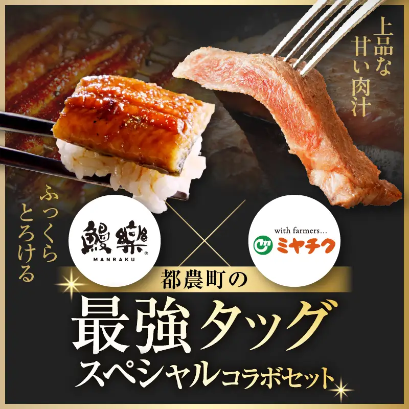 ≪数量限定≫うなぎ×宮崎牛 都農町最強セットA 肉 牛 牛肉 焼肉 国産_T030-1296
