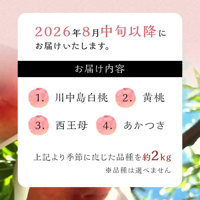 【2026年8月中旬以降より発送】旬の桃おまかせ約2kg・6～9玉（自家製有機肥料・減農薬・化学肥料無使用） 川中島白桃 黄桃 西王母 あかつき