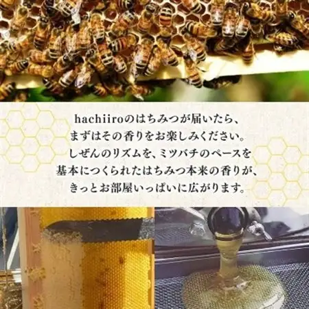 【2種】いずみつ(百花蜜)＆アカシア 200g＆ 食べ比べプラセット　倒立型 蜜切れ抜群ボトル【1502146】