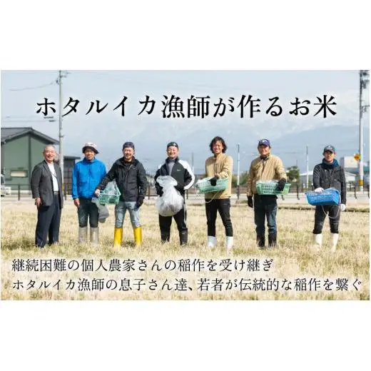 【訳あり】ほたるいか米（玄米30kg）×3回 計90kg【3ヶ月定期便】 [J-021001]